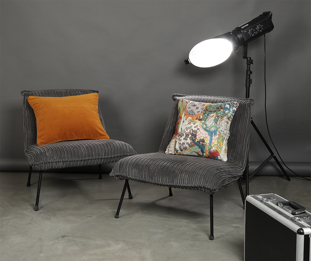 Coussins pour décoration masculine