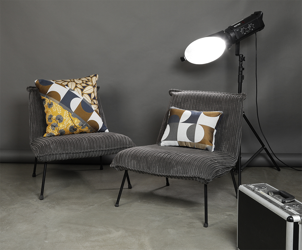 Coussins pour décoration masculine