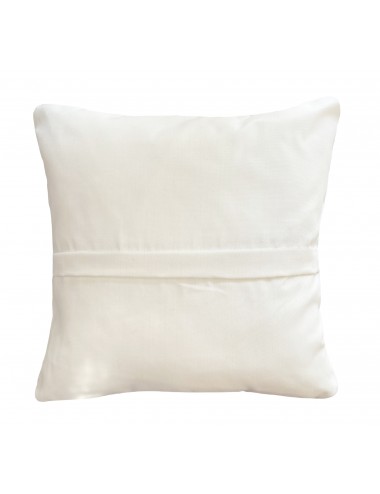 Coussin extérieur bleu canard et blanc 40x40
