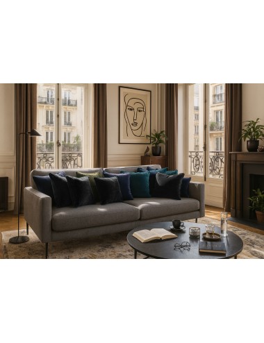 Coussin noir sobre et élégant.